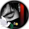 musafar.janan570