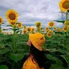 wardah_wardana686