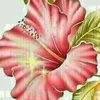 user8636058161114