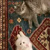 khawla__900