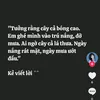 hieuhuynh2025
