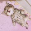 .yubee