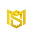 shayel_motors