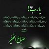 alaasalim242