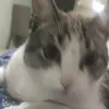user197311060701