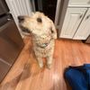 lucy.ellsworth