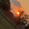 franki_official8