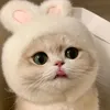 bzipxinhyeu
