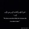 mohamed.11645