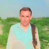 ijazgullimarwet302