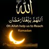 usmanpasha777
