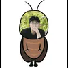 boilis_