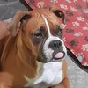 Pablito