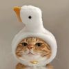 mochaa_0_