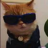 meowshi0223