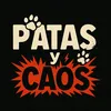 soyelalgoritmo00