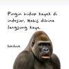 yudistira.1408