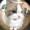 _diemthuy_2204