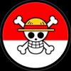 sok_selep3