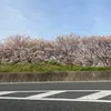useru25ndxwdsw