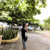 gayleya
