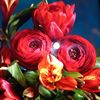 majidmajidm7813