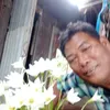 lamomphutsoidao