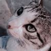 kaish_20024