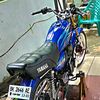 krisna_wahyudi4