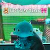user3cn7dct05j