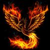 minak.22
