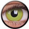 keen_eye_live