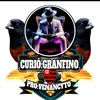 curiogranfino
