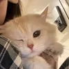 raawnuu