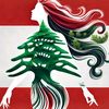 ibrahimibrahim7981