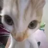 jcbun6