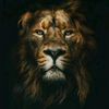 freeyourmind75