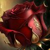 derince1313