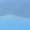 janio_neto10