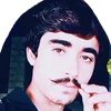 gullshergulsher1