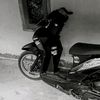 dikzz713