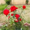 usermsy6prhj27