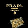 prada_19999