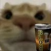 rubak_567