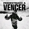 surfistaamorim