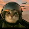 amomuderdrones