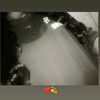 carol_ina.m1