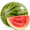 watermelon41082