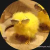 thegioinaythatchan