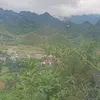 snhong066